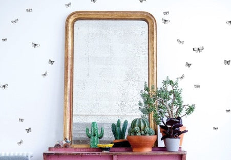 Behang The Wild Butterfly