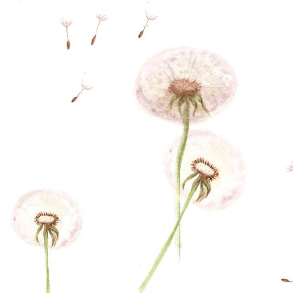 Behang Dandelions