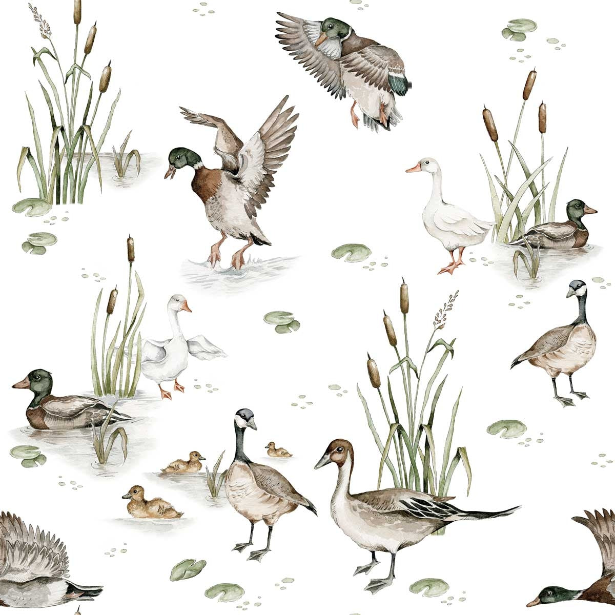 Dekornik Ducks Lake Behang — Een rustig behang met eendjes die zwemmen op een meertje tussen rietjes, perfect voor een serene, natuurlijke kinderkamer.