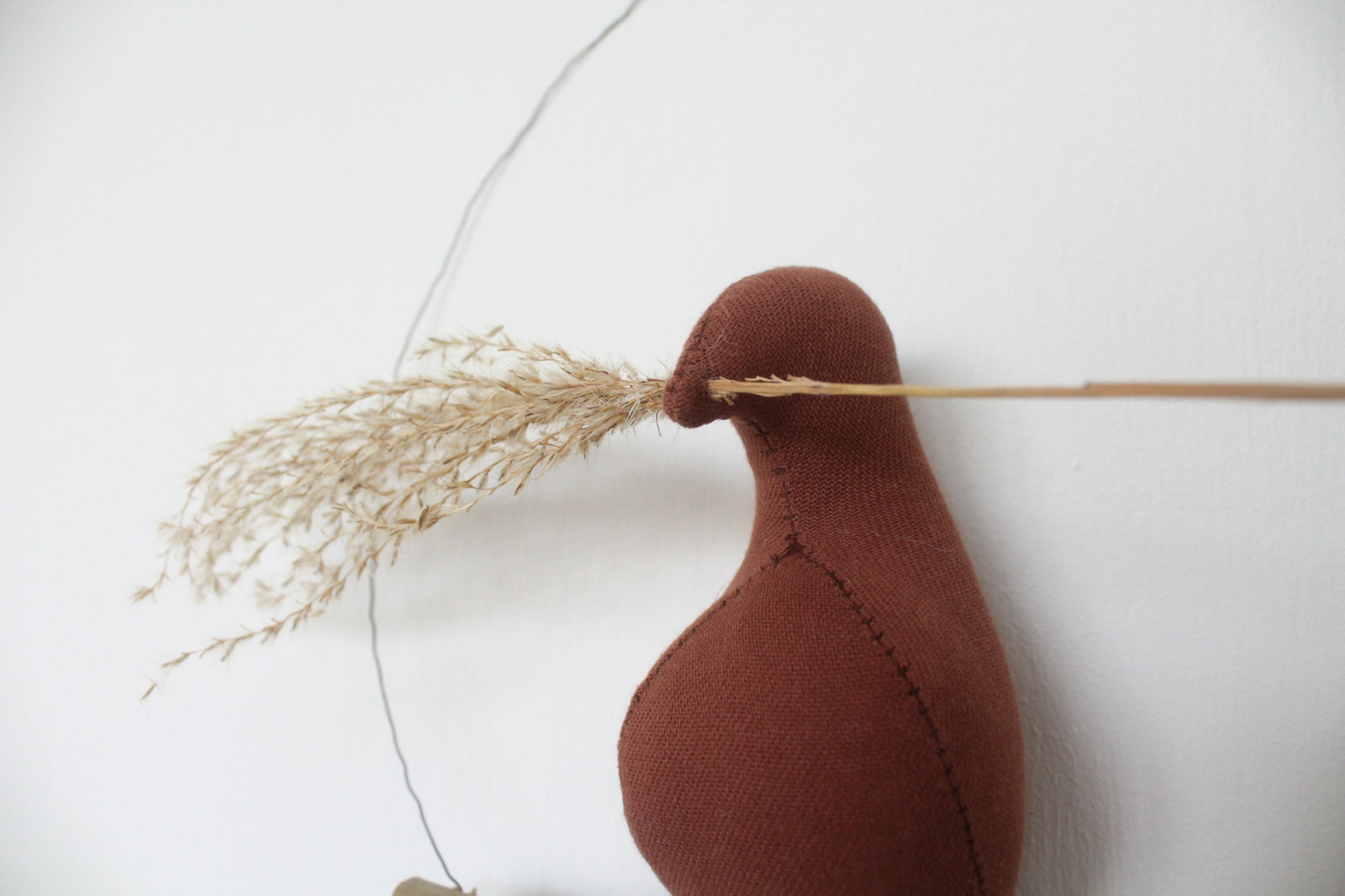 Mama Bird Bruin Cotton Reed Grass