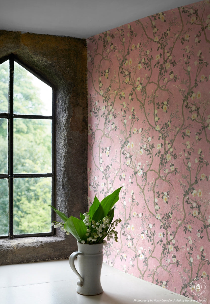 Camellia Petit Dusky Pink