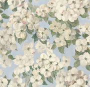 Flower Cloud Sky