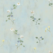 Spring Mist