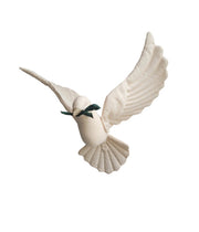 Pigeon Light Beige