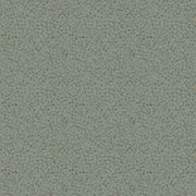 Clover 28013
