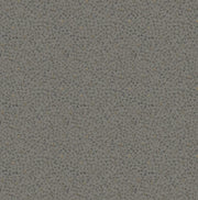 Clover 28014