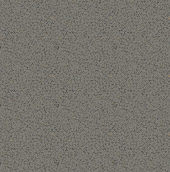 Clover 28014