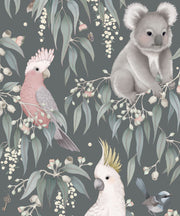Bush Babies Gum Grey