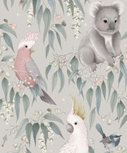 Bush Babies Saltbush