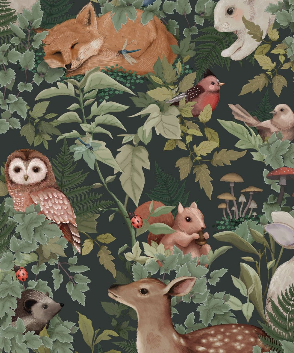 In The Woods Forest