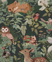 In The Woods Forest