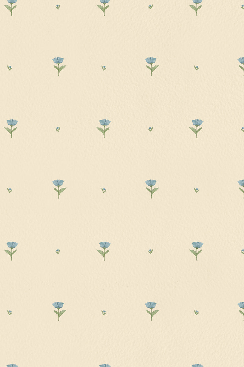 Tulips For Belle Blue