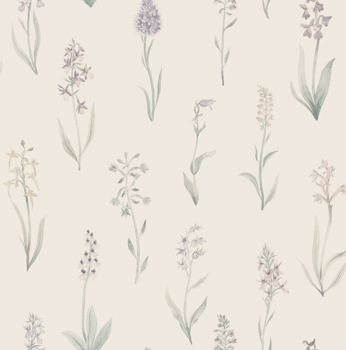 Alma Lilac