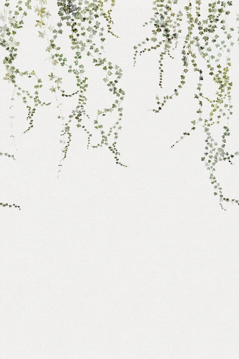 Aralia Moss Green Mural