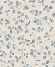 Bokskog Misty Blue