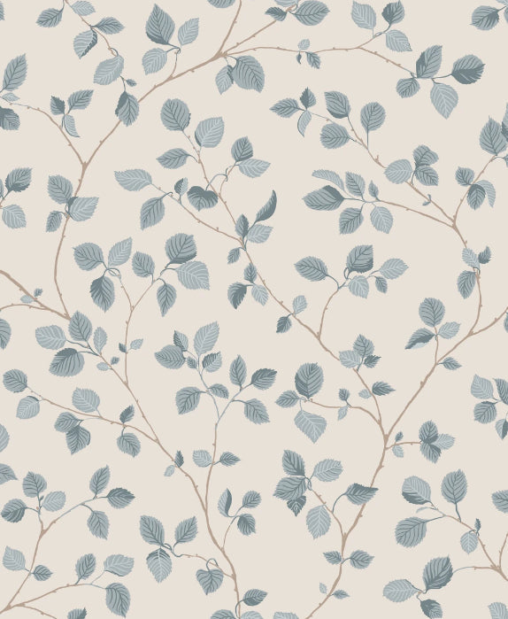 Bokskog Misty Blue