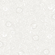 Caroline Sandstone