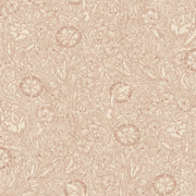 Caroline Terracotta
