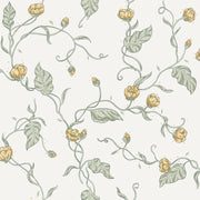 Elmire Spring Green