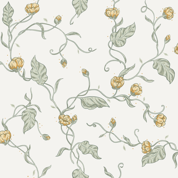 Elmire Spring Green
