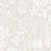 Fig Garden Sandstone