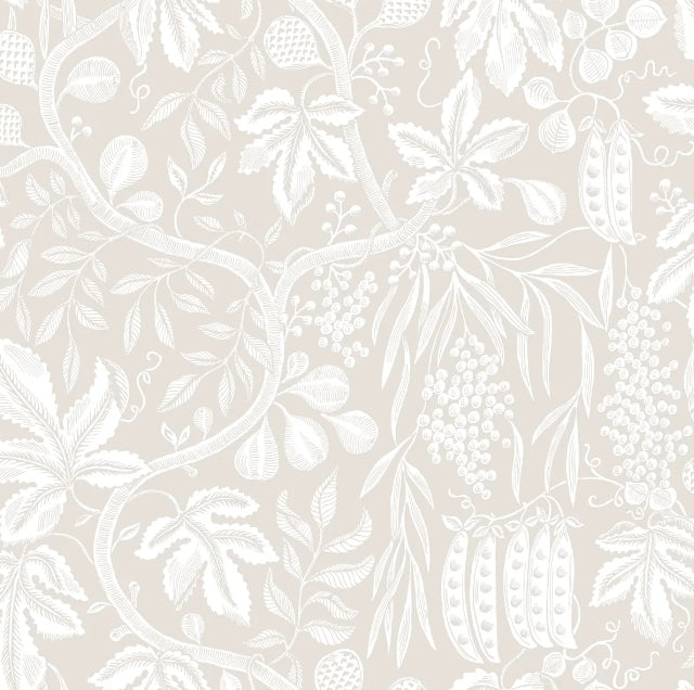 Fig Garden Sandstone
