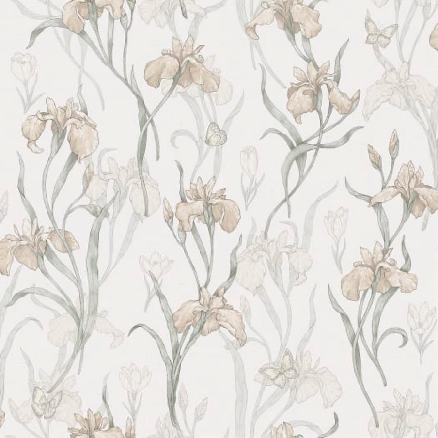 Iris Powder Pink