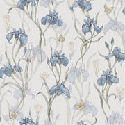 Iris Sky Blue