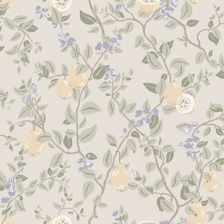 Kvitten Lilac