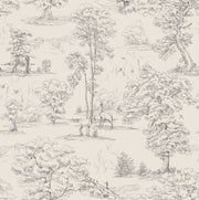 Montfort Graphite