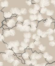 Pine Beige