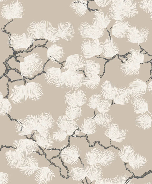 Pine Beige