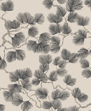 Pine Brown