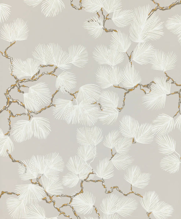 Pine Gray