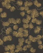 Pine Black