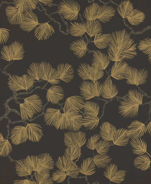 Pine Black