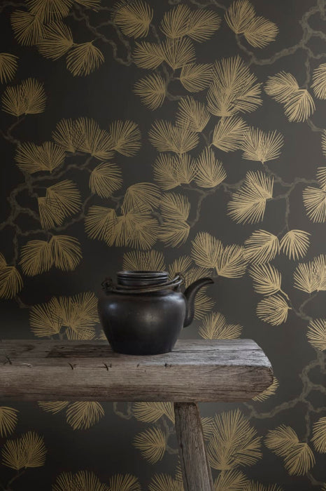 Pine Black