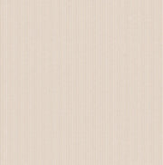 Rand Terracotta