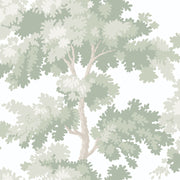 Raphael Light Green