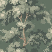 Raphael Moss Green