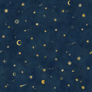 Starry Sky Petrol Mural