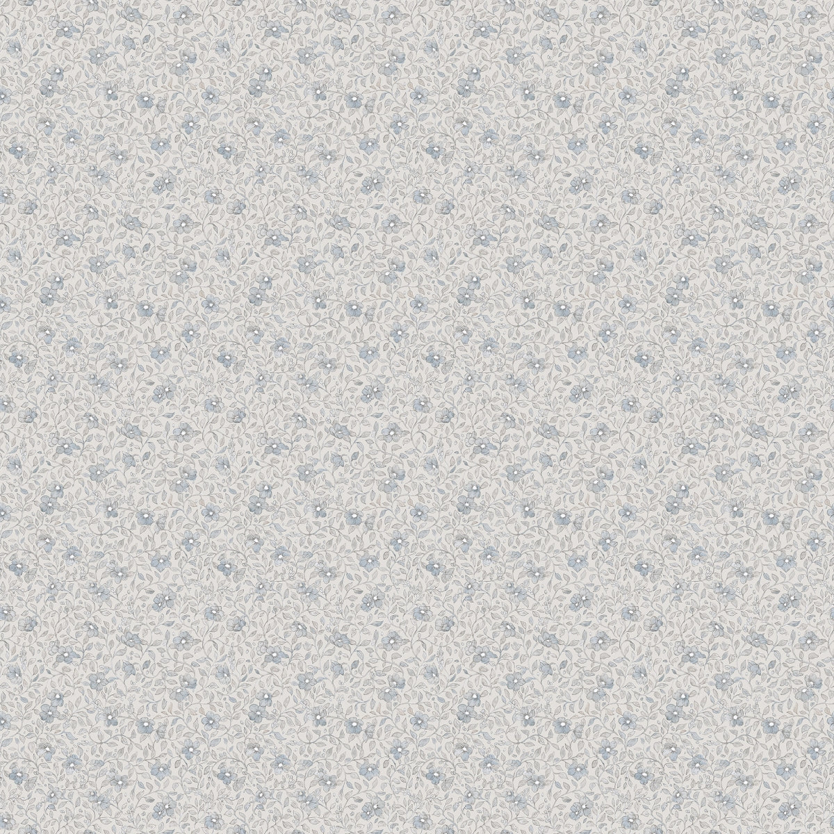 Stella Misty Blue
