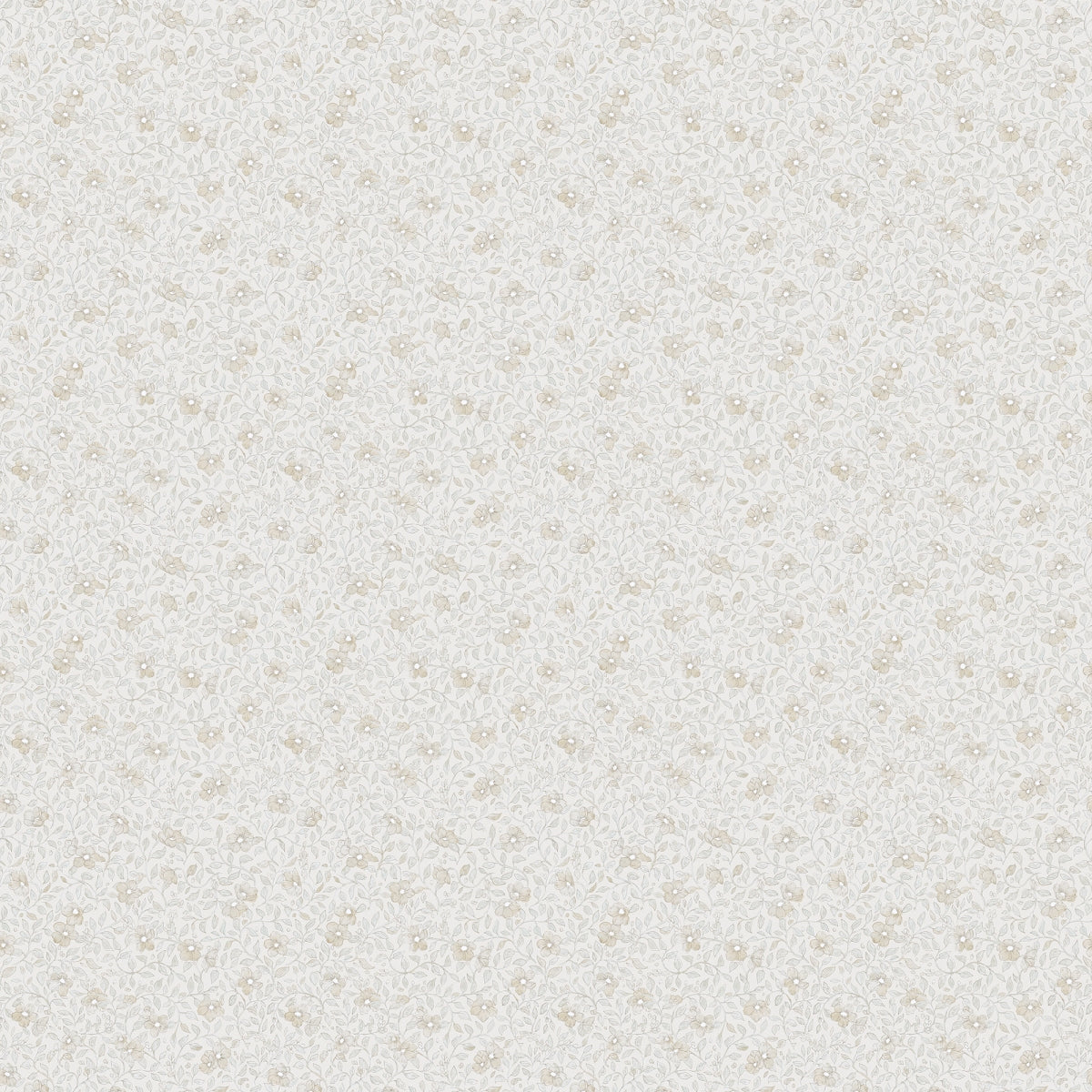 Stella Sandstone