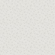 Stella Sandstone