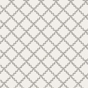 Trellis Graphite