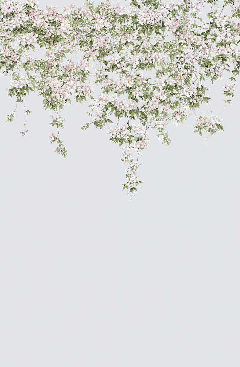 Classic Clematis Mural Dusty Blue