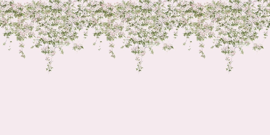 Classic Clematis Mural Pink