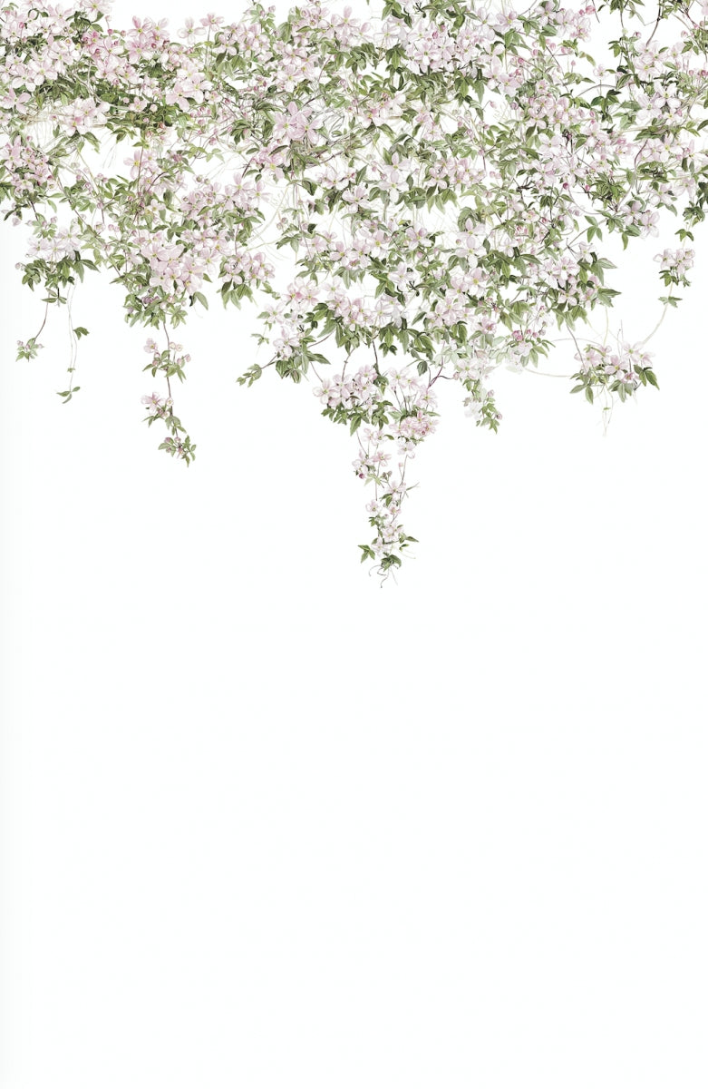 Classic Clematis Mural White