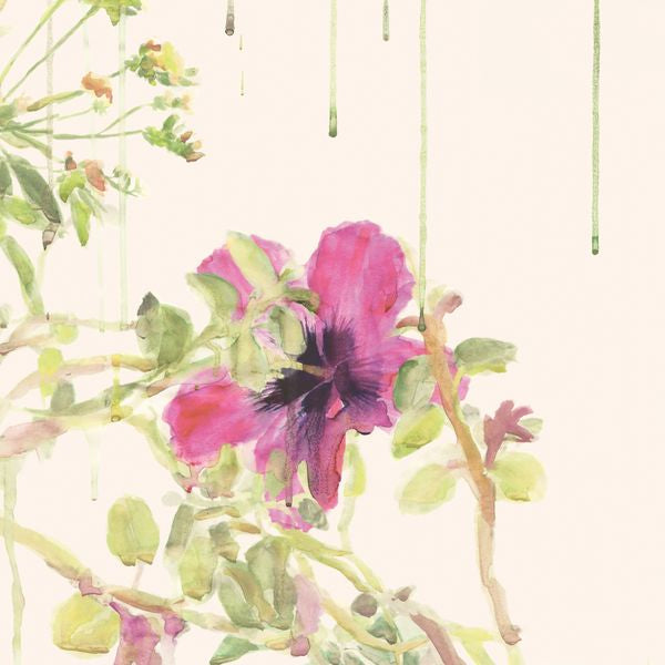 Classic Seasons Wallpaper Spring Wild Rain