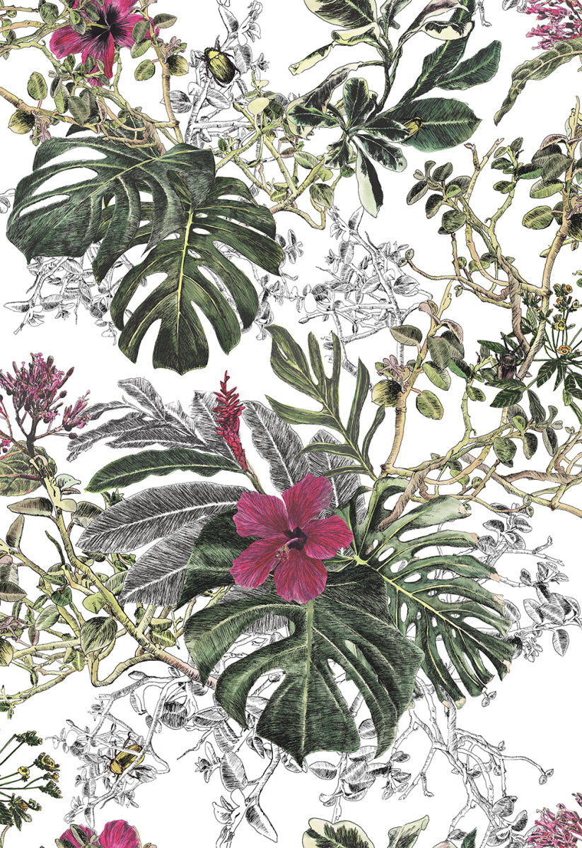 Classic Seasons Wallpaper Summer Tropical Bloom